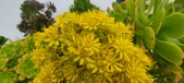 Enlarge photo 109