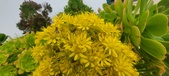 Enlarge photo 110