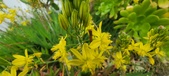 Enlarge photo 111