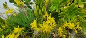 Enlarge photo 112