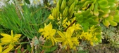 Enlarge photo 113