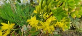 Enlarge photo 114