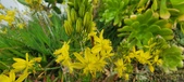 Enlarge photo 115