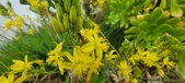 Enlarge photo 116