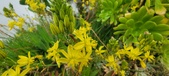 Enlarge photo 117