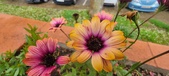 Enlarge photo 120
