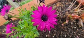 Enlarge photo 122