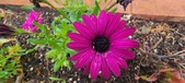 Enlarge photo 123