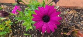 Enlarge photo 124
