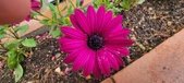 Enlarge photo 125