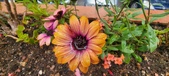 Enlarge photo 134