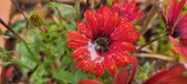 Enlarge photo 141