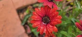Enlarge photo 142