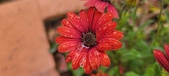 Enlarge photo 139