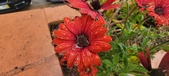 Enlarge photo 140