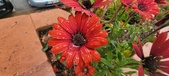 Enlarge photo 145