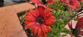 Enlarge photo 144