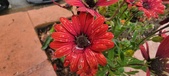 Enlarge photo 167