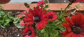 Enlarge photo 169