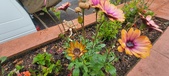 Enlarge photo 170