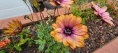 Enlarge photo 148
