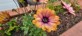 Enlarge photo 150