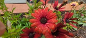 Enlarge photo 151