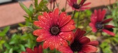 Enlarge photo 154