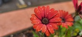Enlarge photo 147
