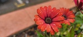 Enlarge photo 157