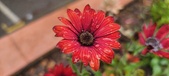 Enlarge photo 158