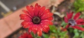 Enlarge photo 159