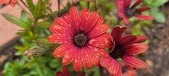 Enlarge photo 164