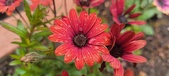 Enlarge photo 165