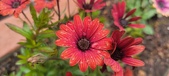 Enlarge photo 166