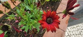 Enlarge photo 178