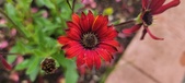 Enlarge photo 179