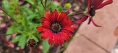 Enlarge photo 180