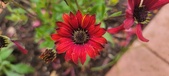 Enlarge photo 181