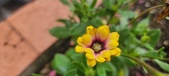 Enlarge photo 182