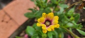 Enlarge photo 183