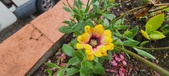 Enlarge photo 184