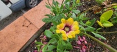 Enlarge photo 185
