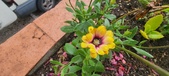 Enlarge photo 186