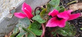 Enlarge photo 204