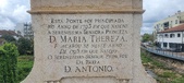 Enlarge photo 222