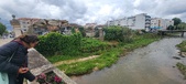 Enlarge photo 229