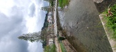 Enlarge photo 234