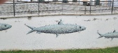 Enlarge photo 250