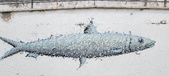 Enlarge photo 267